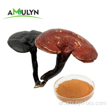 قذيفة عضوية مكسورة Ganoderma Lucidum Reishi Propore Powder